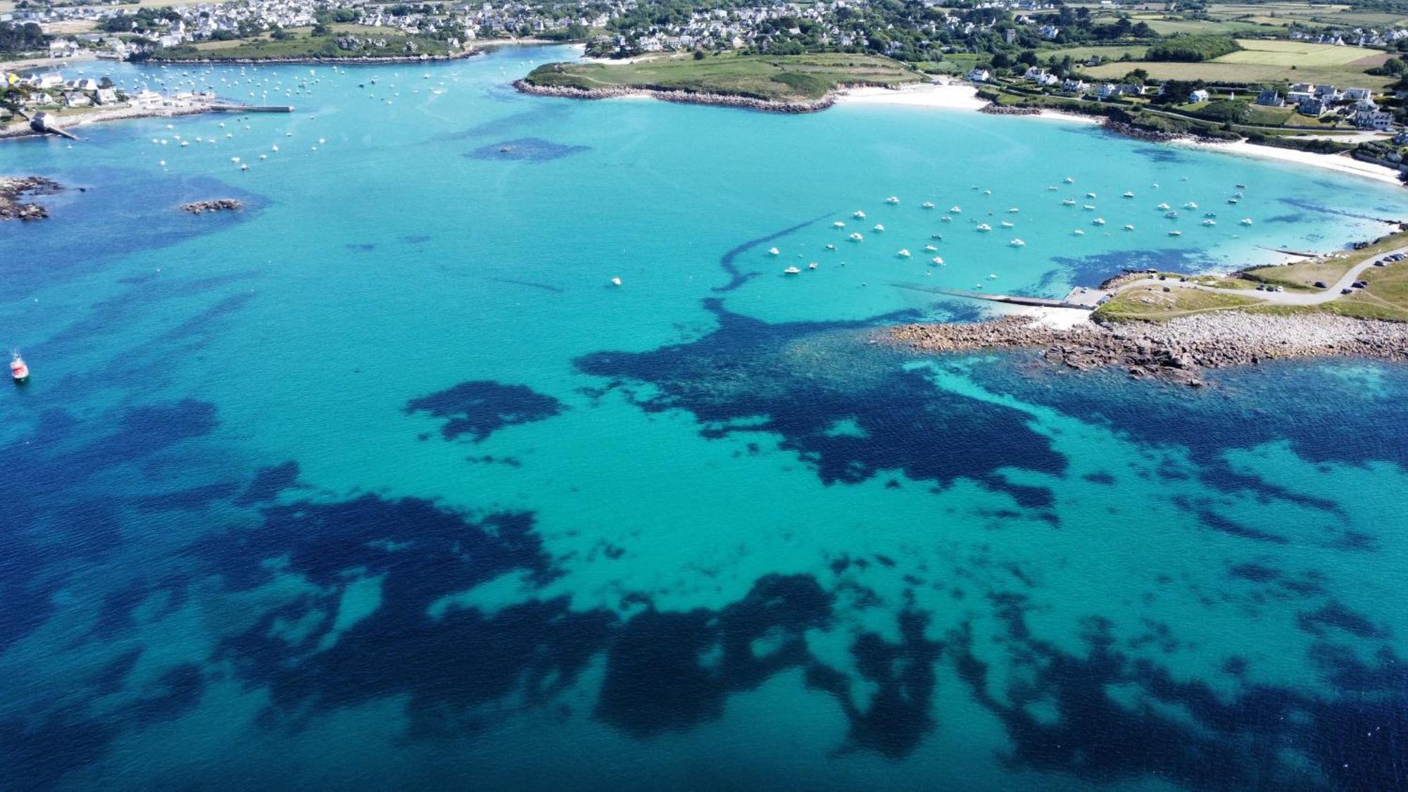 Ty Nevez - Jolie Maison Neuve Avec Petite Vue Mer Saint-Pabu  Exteriör bild