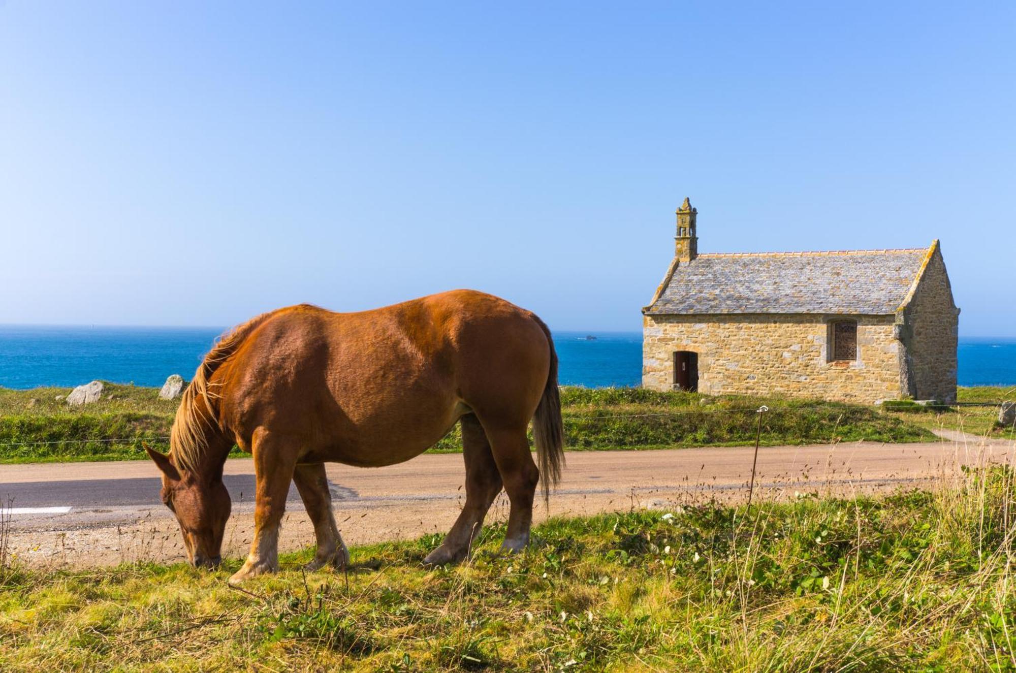 Ty Nevez - Jolie Maison Neuve Avec Petite Vue Mer Saint-Pabu  Exteriör bild